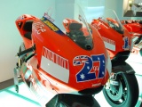 Tn DSC 0289